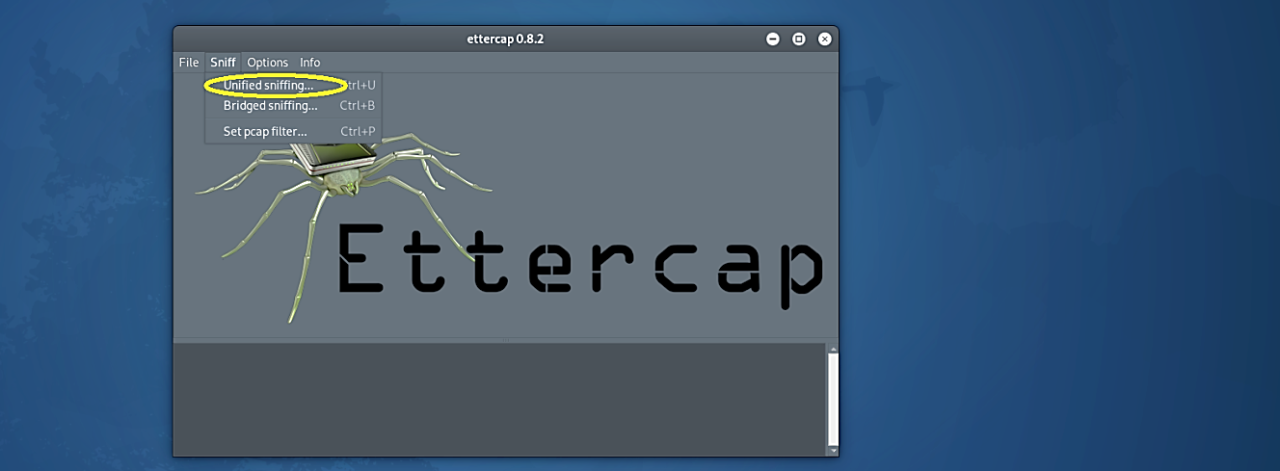 how to use Ettercap in Kali Linux for network analysis and security